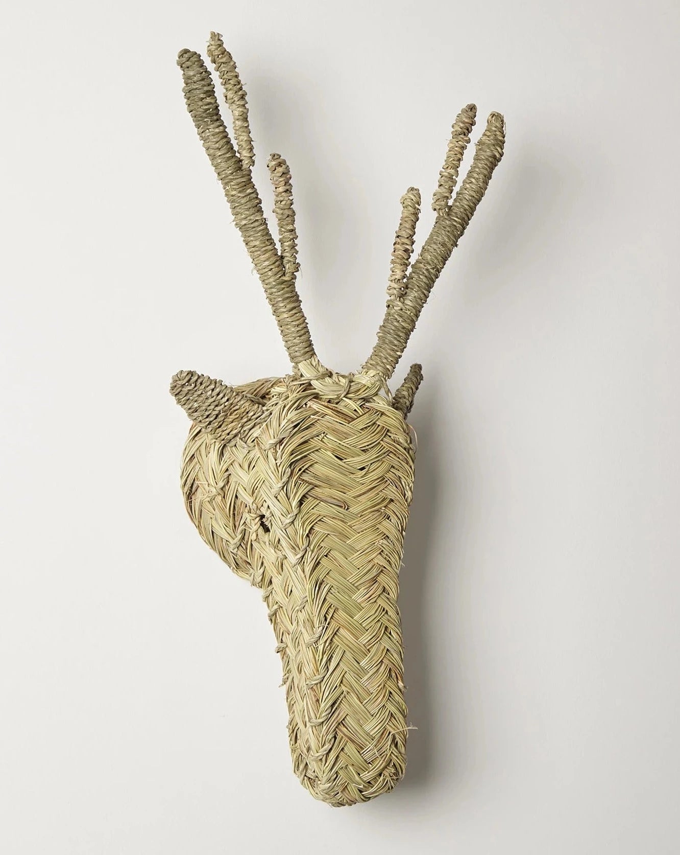 Deer Head